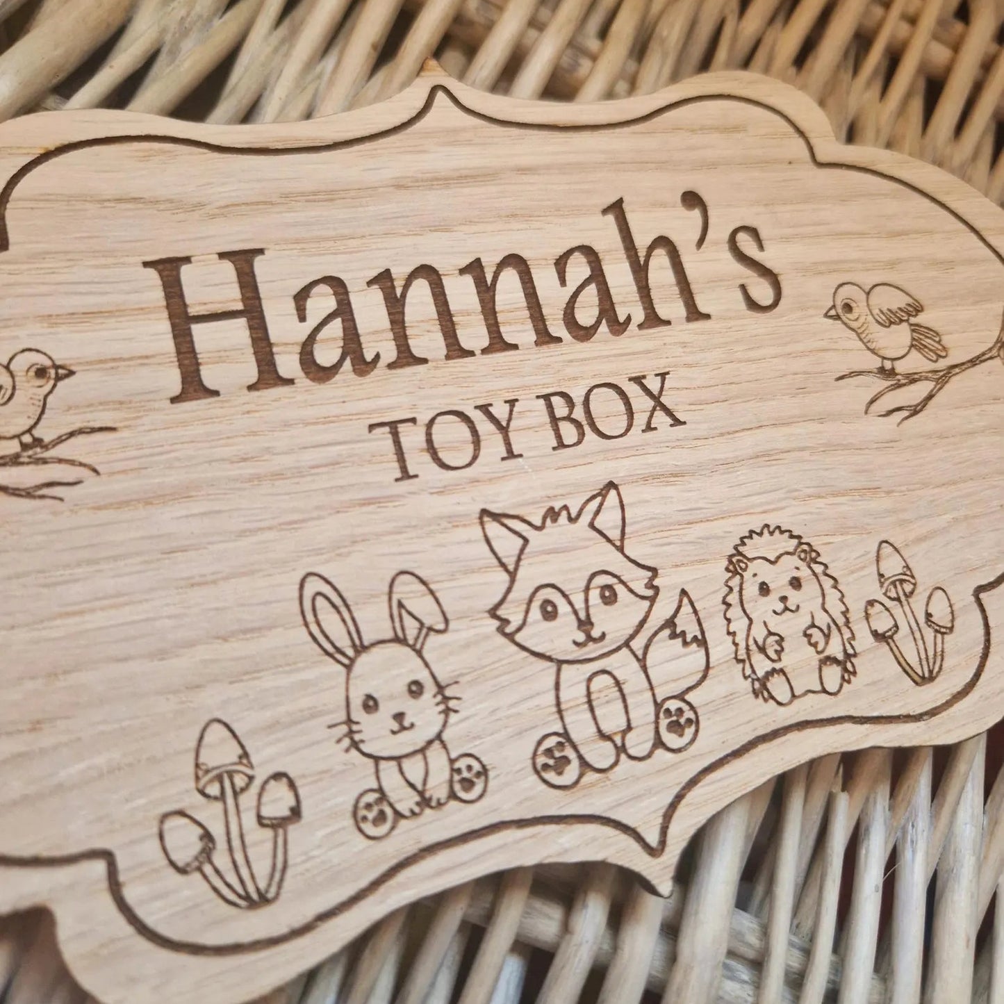 Toy Box Front- Personalised
